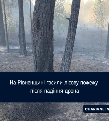 Майже гектар лісу згоріло через падіння дрона на Рівненщині