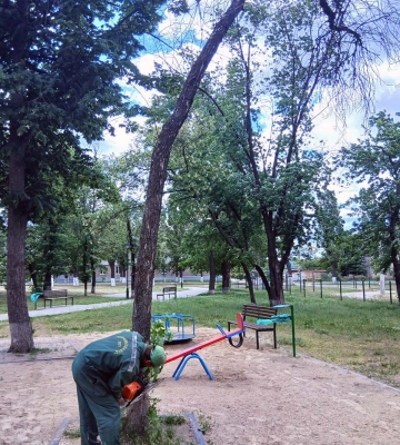 Буревій повалив у Харкові дерева та гілки 