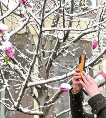 У Львові зафіксували новий температурний рекорд