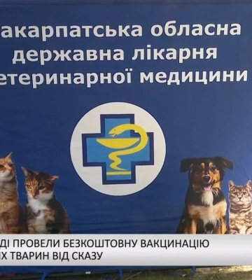 В Ужгороді провели безкоштовну вакцинацію домашніх тварин від сказу (відео)