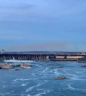 У Дніпро повернулися червонокнижні осетри після підриву Каховської ГЕС