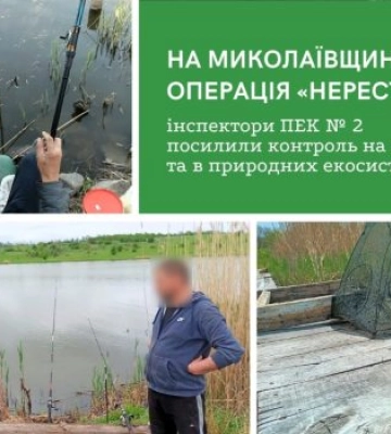 У Миколаївській області посилено полювання на браконьєрів