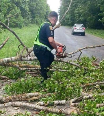 Поліцейські прибрали повалене дерево із дороги в Рівненському районі