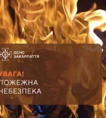 На Закарпатті оголосили найвищий рівень пожежної небезпеки: рятувальники звернулися до жителів області