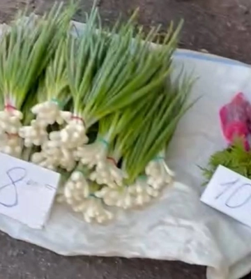 Останній день весни на Хитрому ринку в Полтаві: які ціни на продукти та розсаду