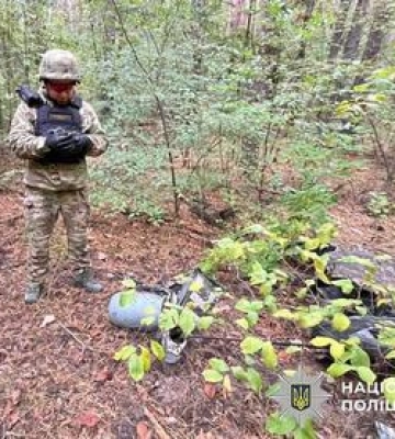 У Полтавській громаді уламками БпЛА пошкоджено будинки