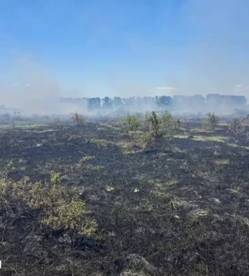 На Закарпатті оголосили найвищий рівень пожежної небезпеки