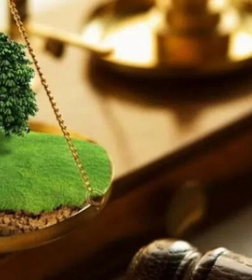 Зруйновану споруду на Чернігівщині оформили як будинок заради отримання землі: що вирішив Верховний Суд