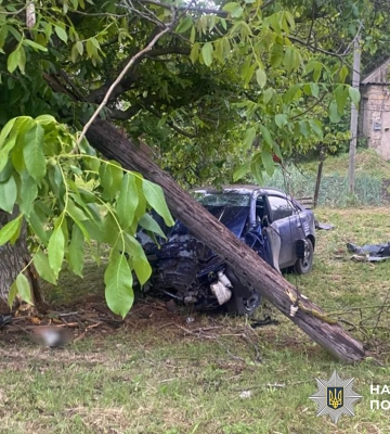 На Миколаївщині легковик виїхав з дороги та врізався у перешкоду: є загибла та поранений