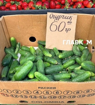 На столичних ринках з’явилися доступні українські огірки: огляд цін