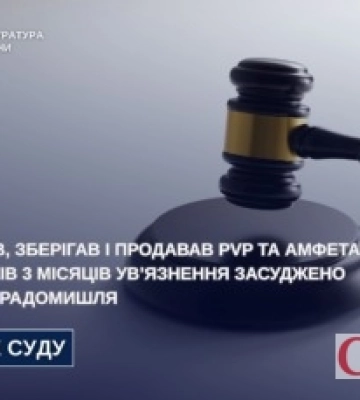На Житомирщині засудили рецидивіста з Радомишля за масштабний наркобізнес через Telegram
