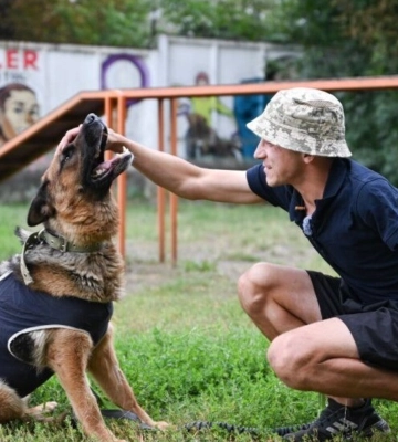 У Львові навчатимуть собак-компаньйонів