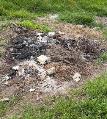 На Одещині у водоохоронній зоні знайшли стихійні звалища 