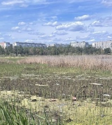 У Лісках роками зливають каналізацію, а винних досі не знайшли