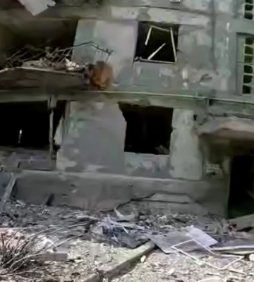 Парамедики полиции спасли мужчину из-под завалов в Дружковке. ВИДЕО