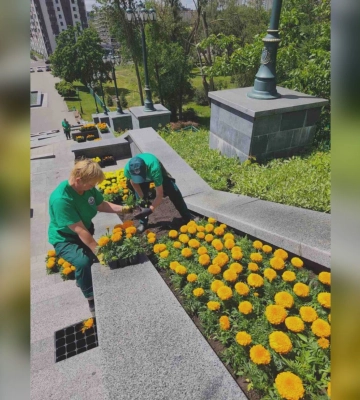 Какие цветы теперь украшают клумбы Каскада в Харькове 