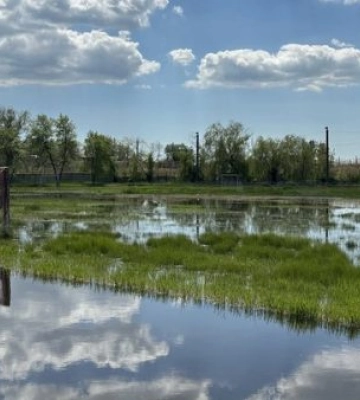 Річка Вітовка та стічні води нищать відомий стадіон в Корабельному районі