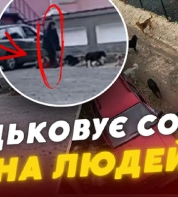 Б'є лопатою та нацьковує собак: у Ковелі жителі скаржаться на агресивного безхатька (відео)