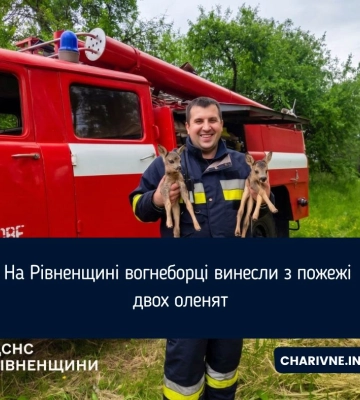 На Рівненщині вогнеборці винесли з пожежі двох оленят