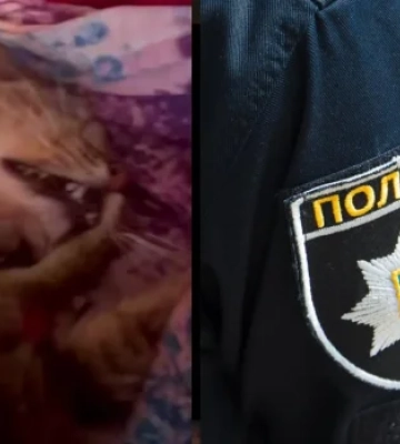 Душила кота на камеру: поліція Павлограда відкрила кримінальне провадження