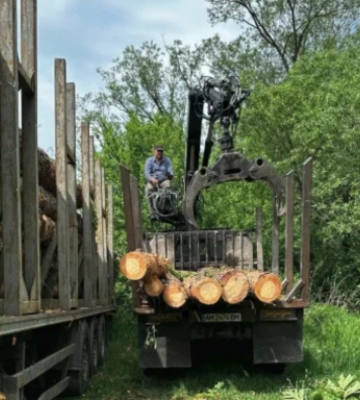 Незаконна порубка на Житомирщині нанесла збитки на понад 2,5 млн гривень: Держекоінспекція спіймала "чорних лісорубів"