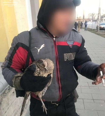 Кому фазана? У Дніпрі затримали браконьєра, що продавав птахів
