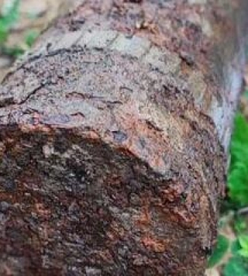 На Полтавщині планують знешкодження боєприпасу