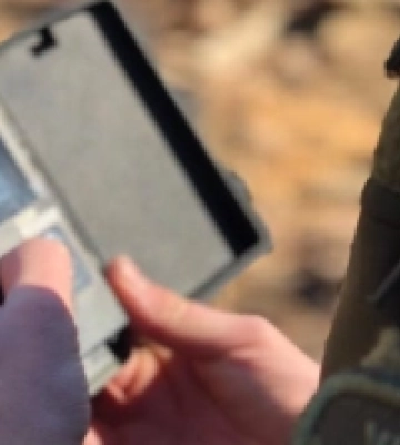 На Волині браконьєри застрелили трьох диких кабанів