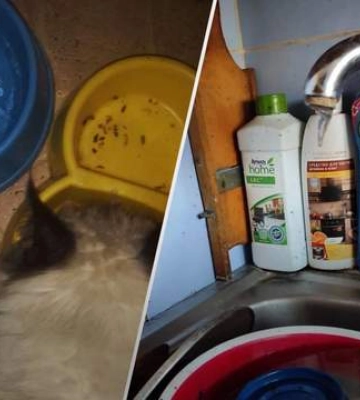 Окупанти влаштували маріупольцям &quot;холодомор&quot;: у квартирах вода перетворюється на лід
