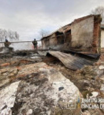 Окупанти обстріляли ферму та амбулаторію на Сумщині: загинули тварини
