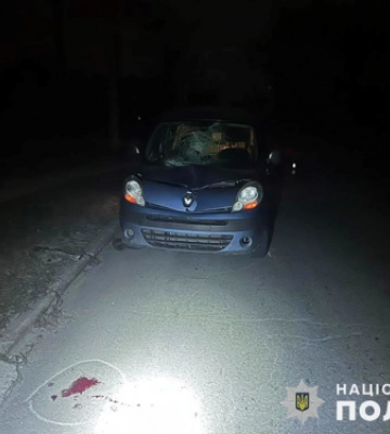 У Запоріжжі водій на іномарці збив пішоходку, яка переходила дорогу при поганому освітленні