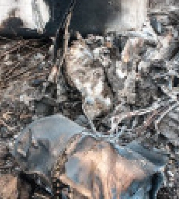 Нацгвардійці збили ворожу ракету з кулеметів і автоматів