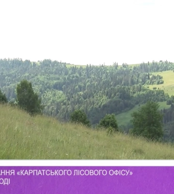 Центр керування «Карпатського лісового офісу» буде в Ужгороді (відео)