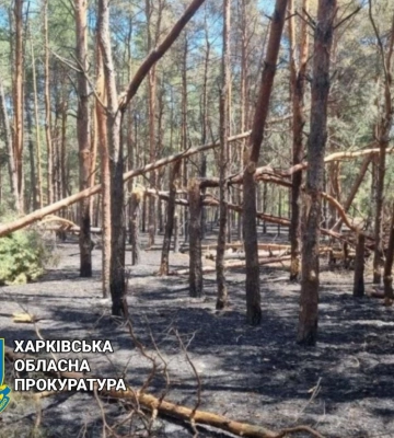 Ущерб более 100 млрд грн. – цена вторжения рф для экологии Харьковщины