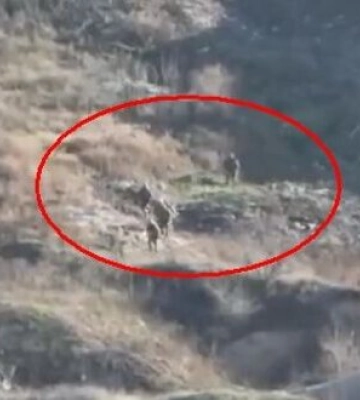 Егеря ДШВ уничтожили группу оккупантов вблизи Бахмута. ВИДЕО