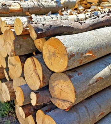 На Київщині затримали шахраїв, які продавали неіснуючі дрова у соцмережах