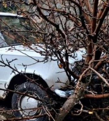 У Запоріжжі п’яний водій на легковому авто врізався в дерево