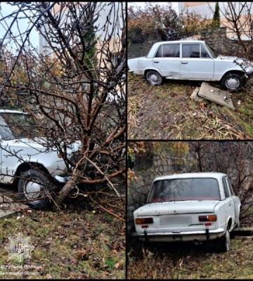У Запоріжжі п’яний водій на легковому авто врізався в дерево
