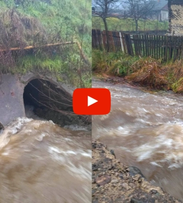 Зносить дорогу: оприлюднено відео шаленої течії гірської водойми на Закарпатті (ФОТО, ВІДЕО)