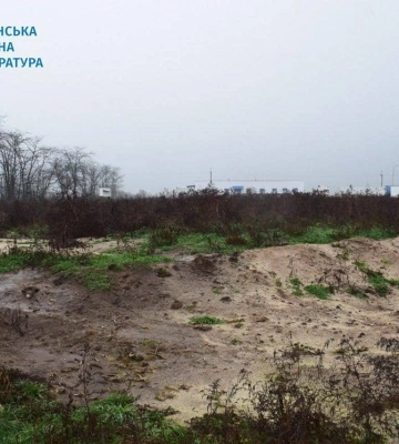 Наслідки окупації Чорнобаївки: птахофабрика перетворилася на місце масового поховання птахів (ФОТО)