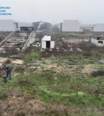 У Чорнобаївці виявили масовий мор птахів – наслідок російської агресії