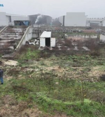 4 млн курей загинули під час окупації на найбільшій птахофабриці у Чорнобаївці. ФОТО