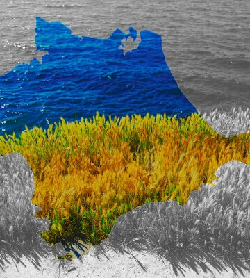 Спроба звільнити Крим може підштовхнути путіна до використання ядерної зброї, – WP