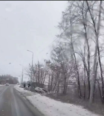 У селі під Луцьком авто злетіло у кювет 