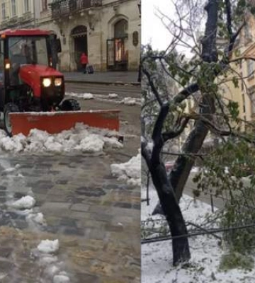 Через негоду у Львові пошкоджено електромережі: за добу впали 119 дерев