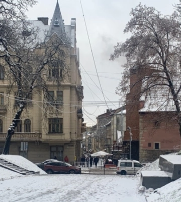 Через негоду у Львові впали 119 дерев