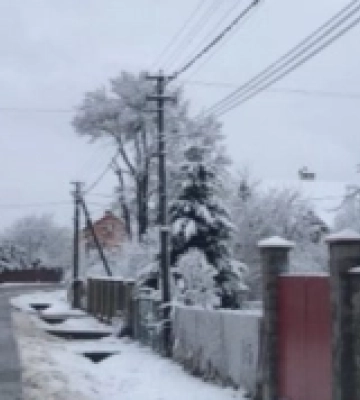 Снігопад спричинив масові знеструмлення на Волині