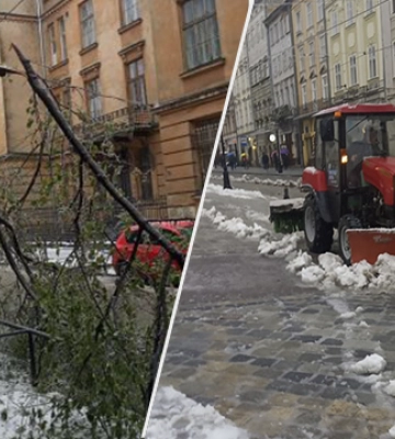 Через негоду у Львові впало понад 100 дерев, пошкоджена електромережа
