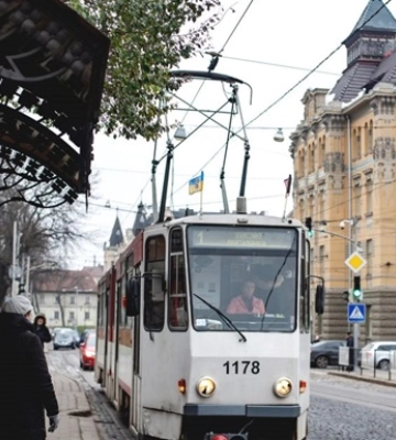 Крижана негода у Львові: Вітер повалив більше сотні дерев, електротранспорт не курсує (ФОТО)