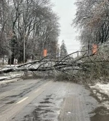 Львів практично паралізували дводенні снігопади: фото та відео